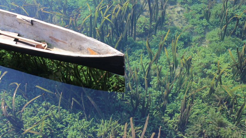 boat floating on clear water over seaweed