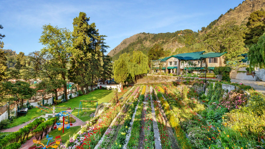   serene lake surrounded by lush green trees and mountains in the background at Shervani Hilltop Nainital 