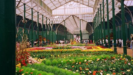 The Sanctum Suites, Bangalore Bangalore Lal bagh