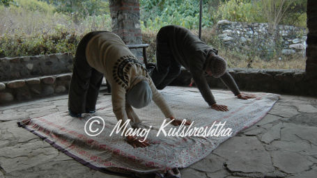 Wild Brook Retreat, Yoga & Meditation, Uttarakhand Resorts 