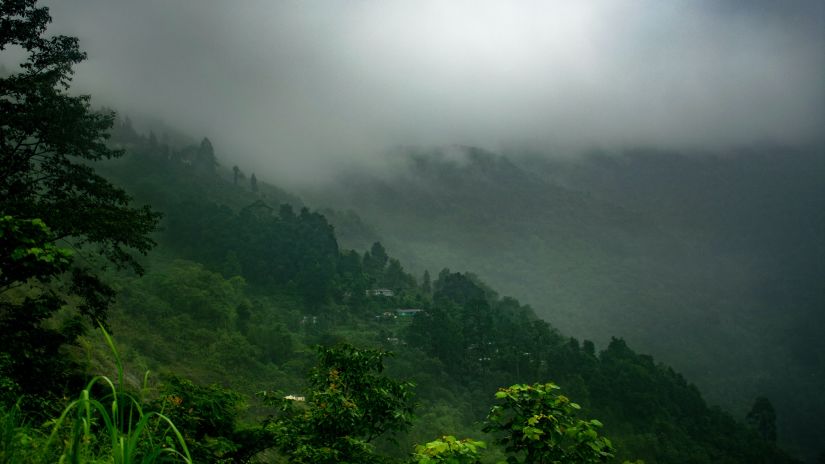 an image of a mountain covered with green trees and fog