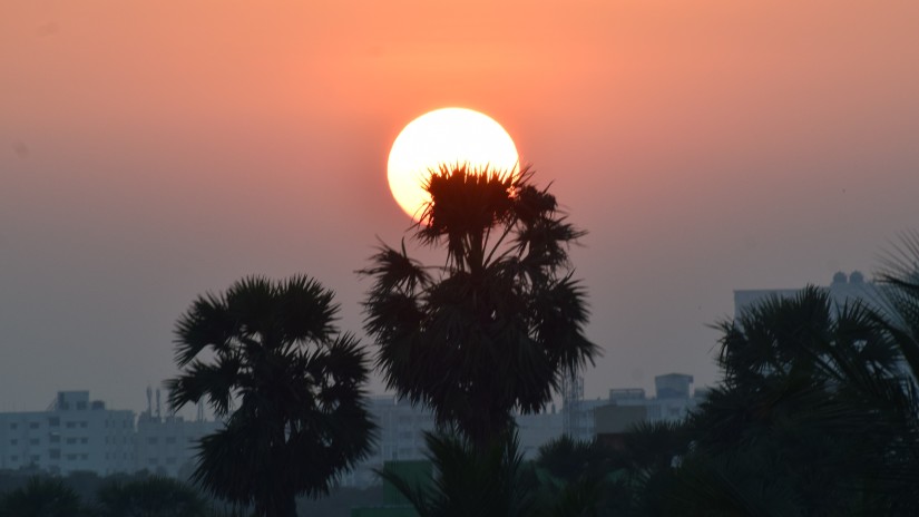 Silhouette of palm tree with the evening sun behind the tree