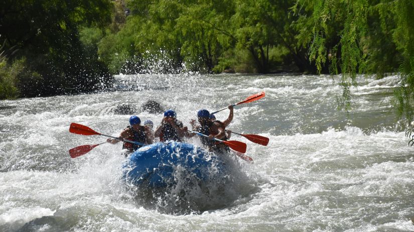 Group of adventurous rafters navigating through whitewater rapids on a river, surrounded by lush greenery.