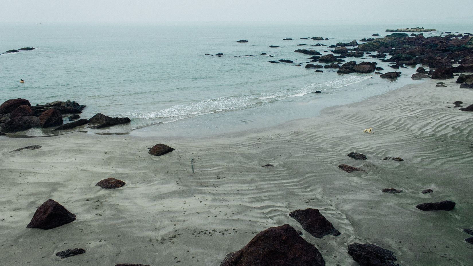 The beach with rocks on the shore