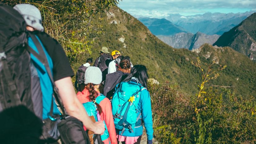 a group of people trekking amidst greenery