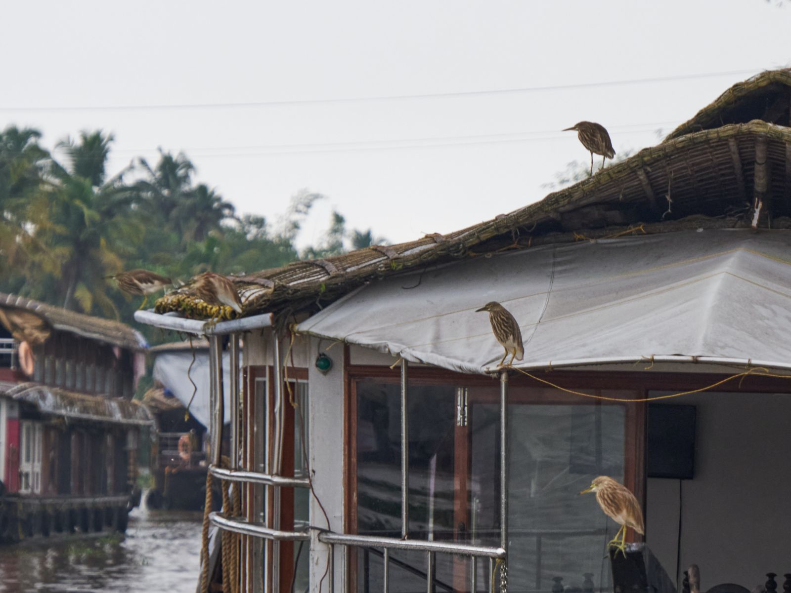 a house boat on the backwaters of alleppey