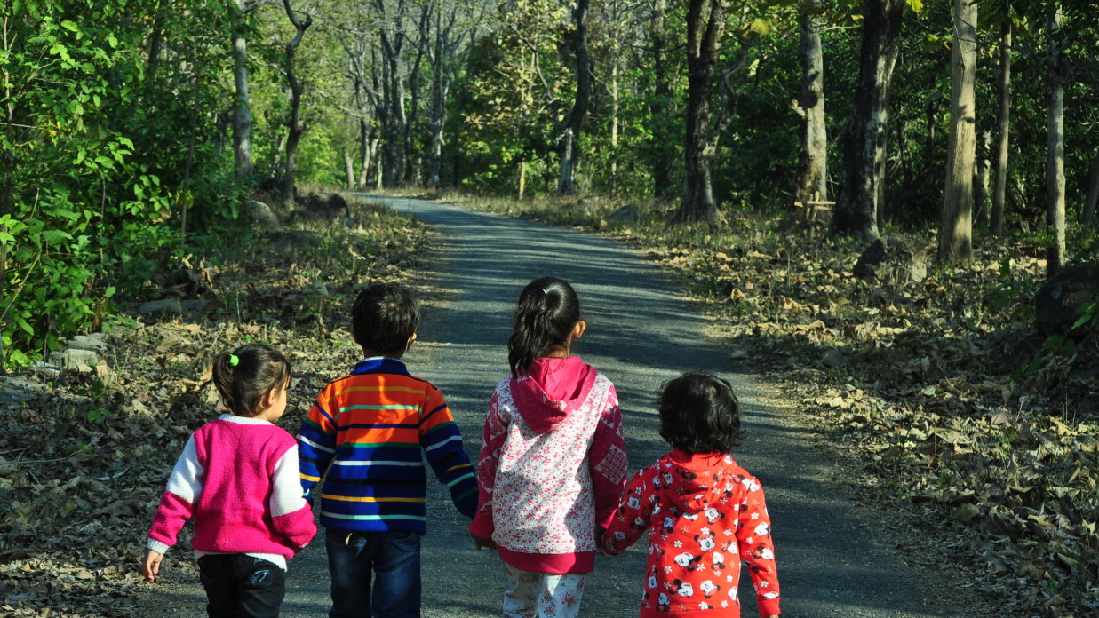 a group of four kids walking hand-in-hand on an empty road surrounded by green trees - the golden tusk