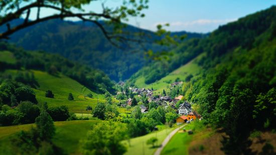 house-surrounded-by-trees-and-mountains-1196121