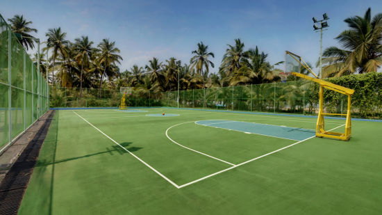 An image of a Basketball Court