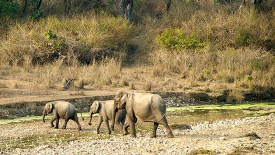 Haveli hari ganga sacred trails 333