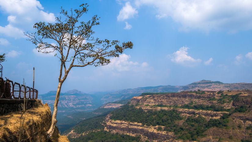 a panoramic view of hills and a tree planted on one side