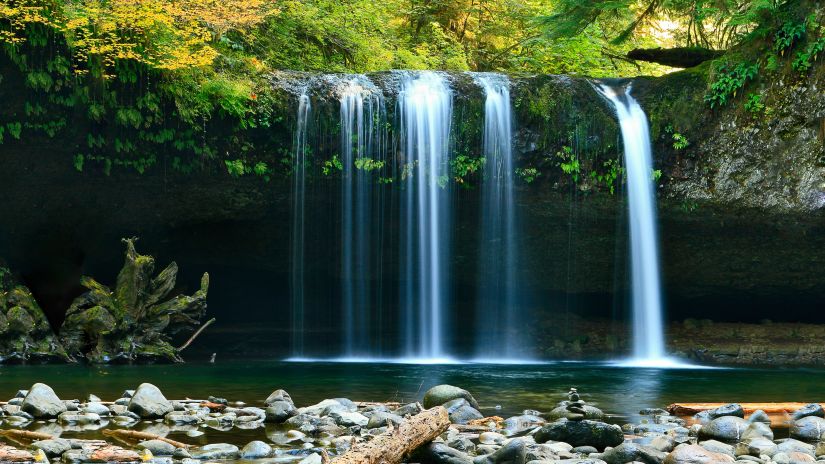 an overview of a waterfall cascading down to a waterbody with forest cover in the background