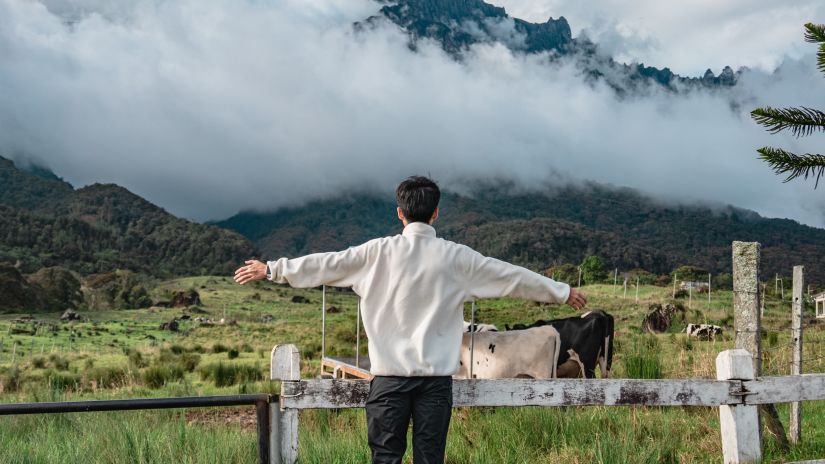 a person standing with hands wide open while facing cloud covered mountains and luscious green garden @ Lamrin Norwood Green, Palampur