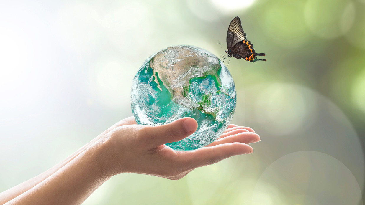 a person holding a globe with a butterfly nearby