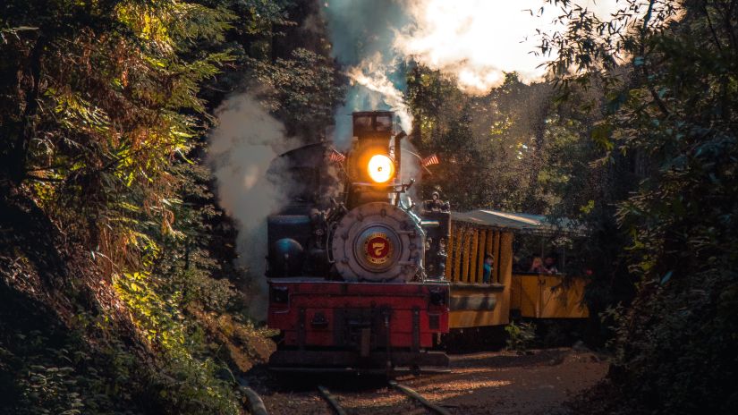 An old toy train going running inside a forest with the sunshine reflecting in the background