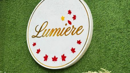 Lumiere board