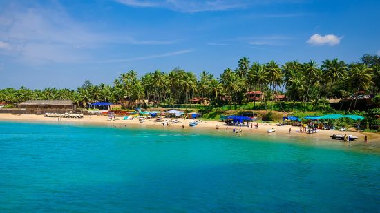 blue sea with lush green trees on beach