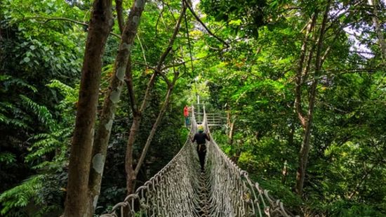 person crossing a rope bridge 