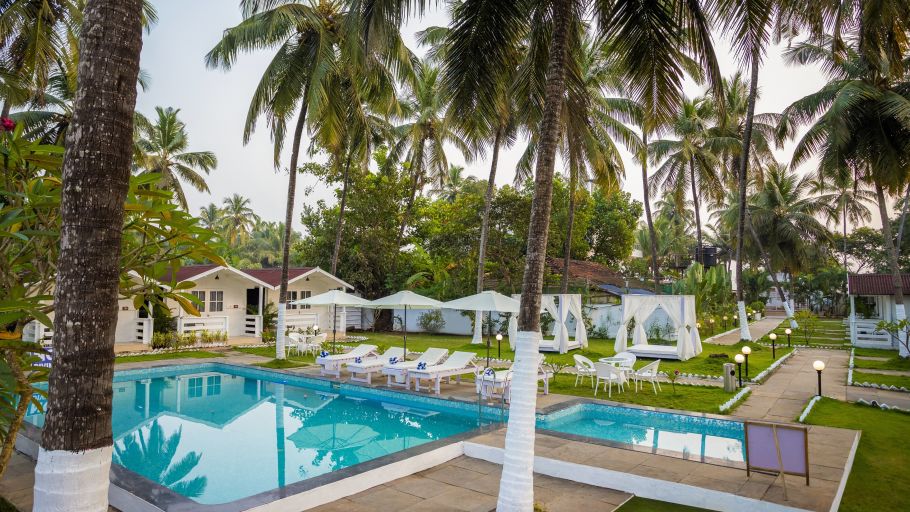overview of the swimming pool with coconut trees next to it - Stone Wood Village Resort, Morjim