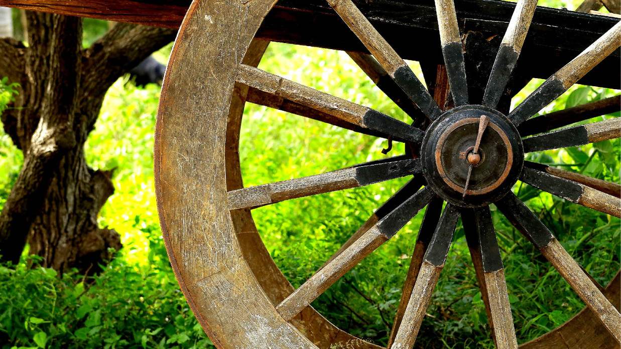 Bullock Cart Ride in Bandipur 