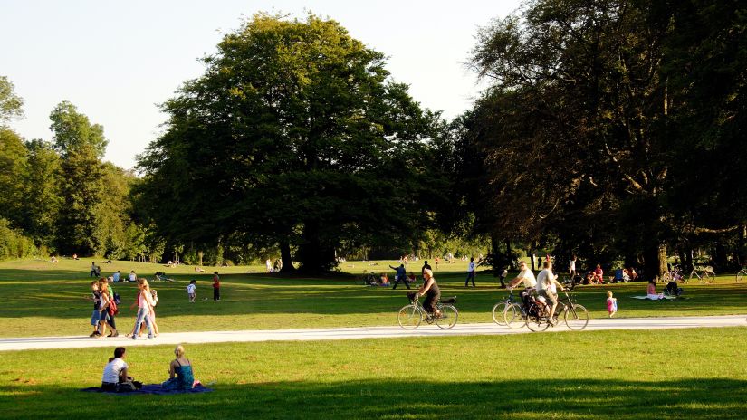 children playing in the green field 