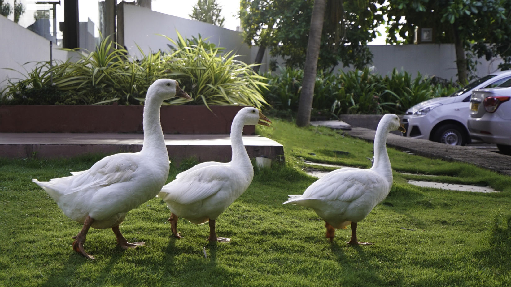 Sai Priya Beach Resort Vizag 3