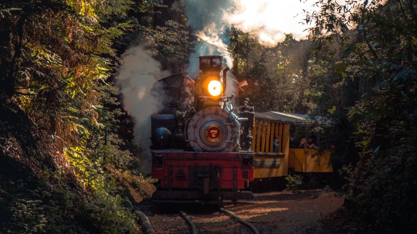 a toy train running through lush vegetation