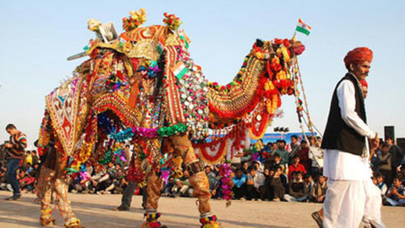 Camel Safari at Hotel Sarovar Portico Jaipur