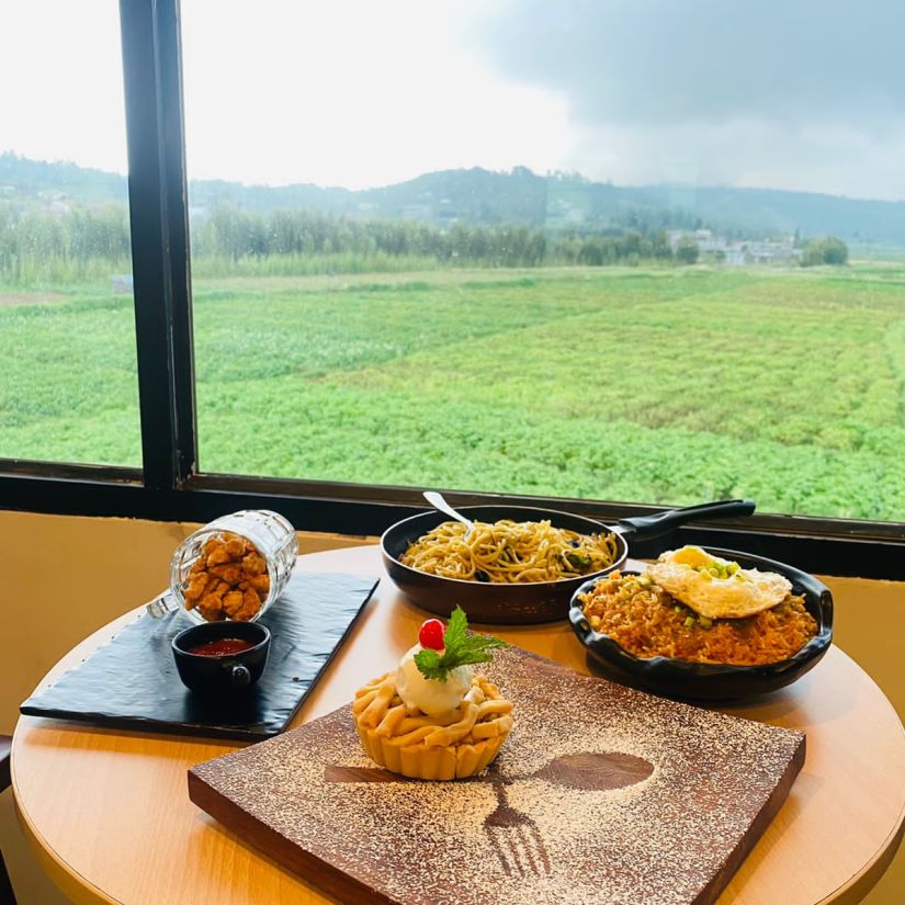 Delicious looking dishes on a table overlooking a scenic lawn