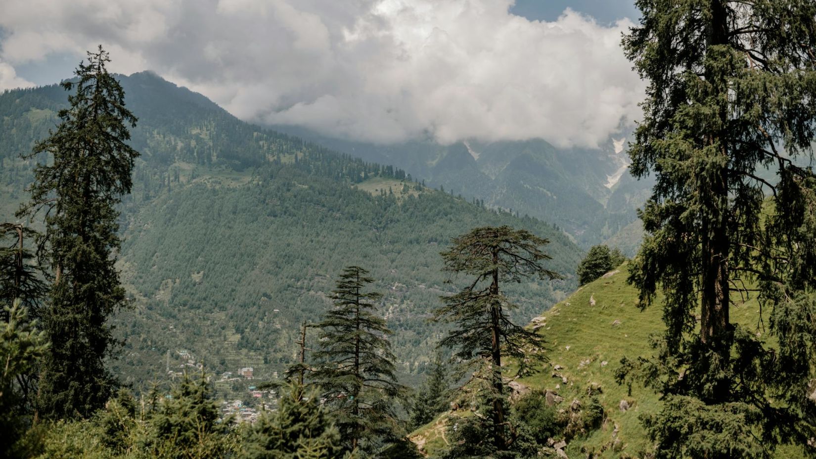 An image of a green mountain in the vicinity of pine trees with the backdrop of a dramatic sky