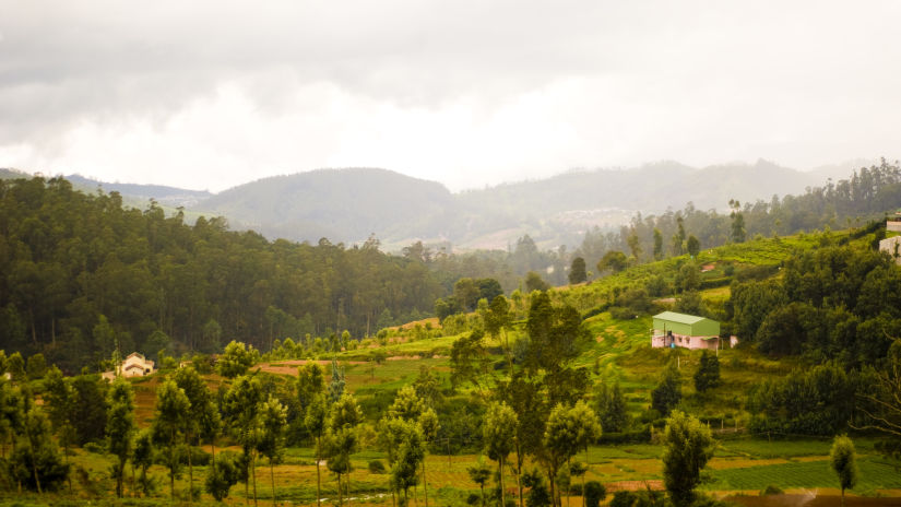 Wallwood Garden - 19th C, Coonoor  Coimbatore