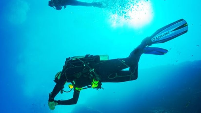 a person doing scuba diving, one of the best things to do in Havelock 3