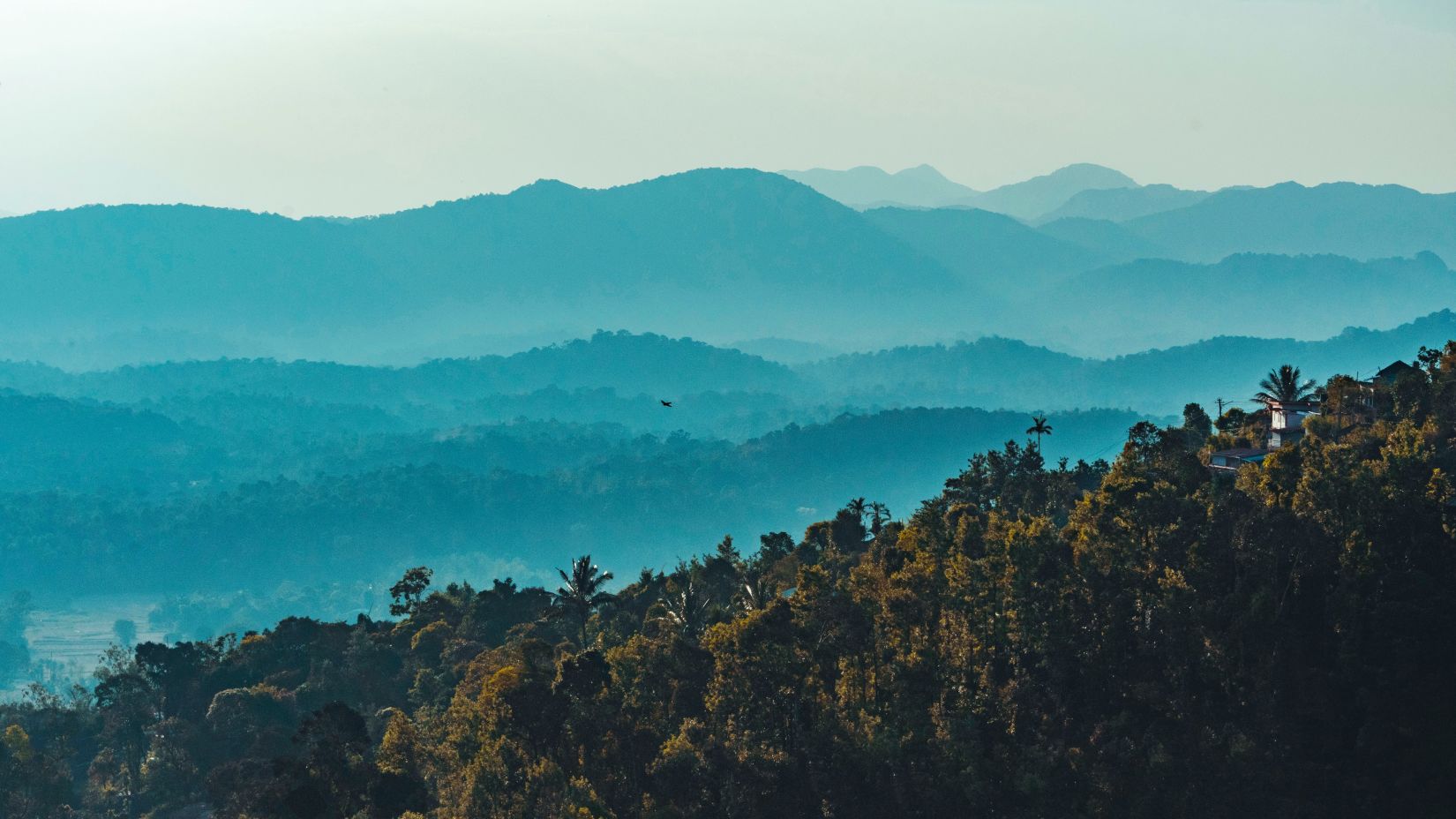 lofty hills of Coorg