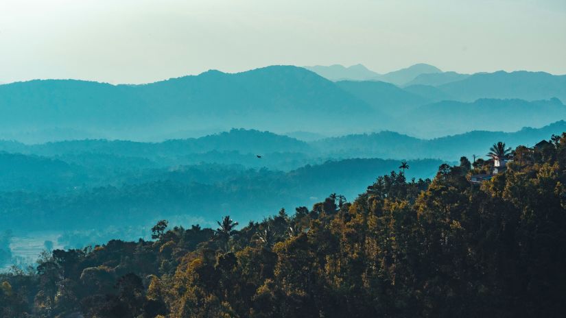 lush green mountains and hills in coorg