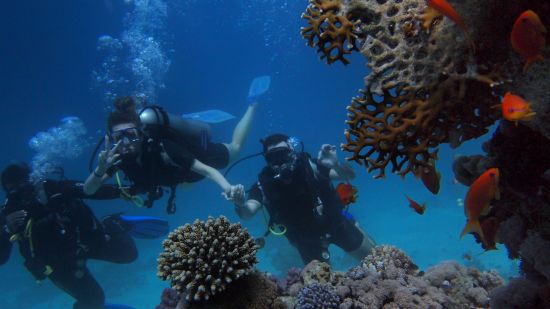 Divers surrounded by colourful corals Scuba Diving in Port Blair 