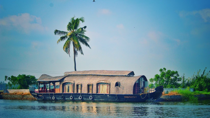 a houseboat in front of a coconut tree