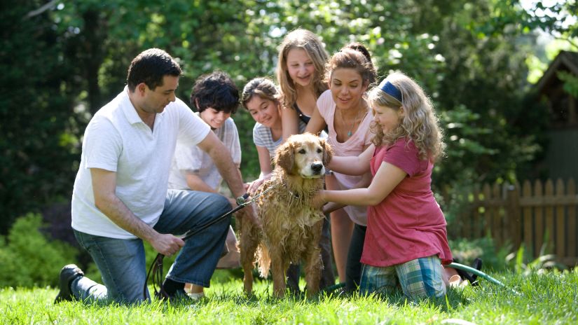 a group of people petting a dog 