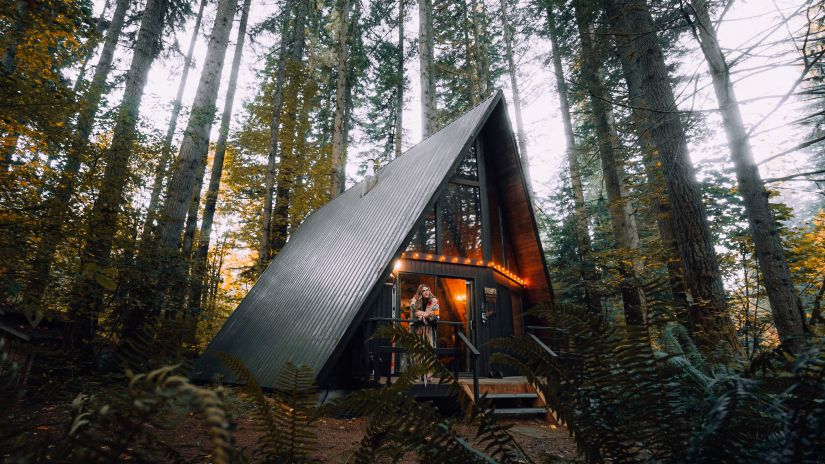 a wooden house standing amidst a forest