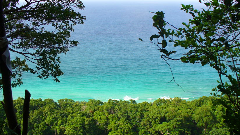 birdseye view of beach 87876