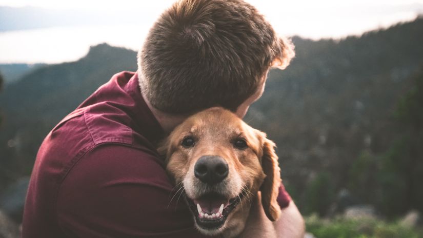 man hugging a dog