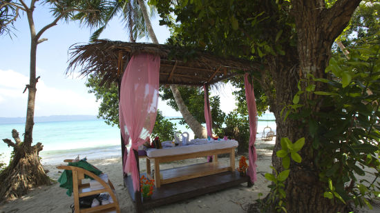 Outdoor spa featuring a massage table inside a canopy