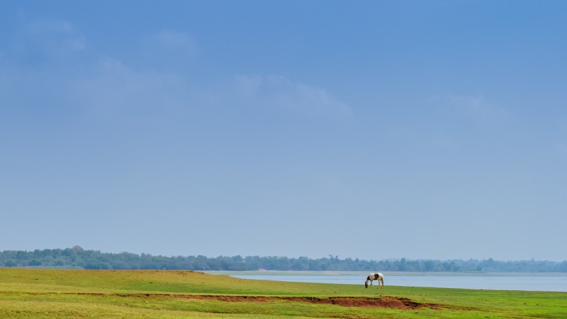 landscape view of green fields and a river during daytime