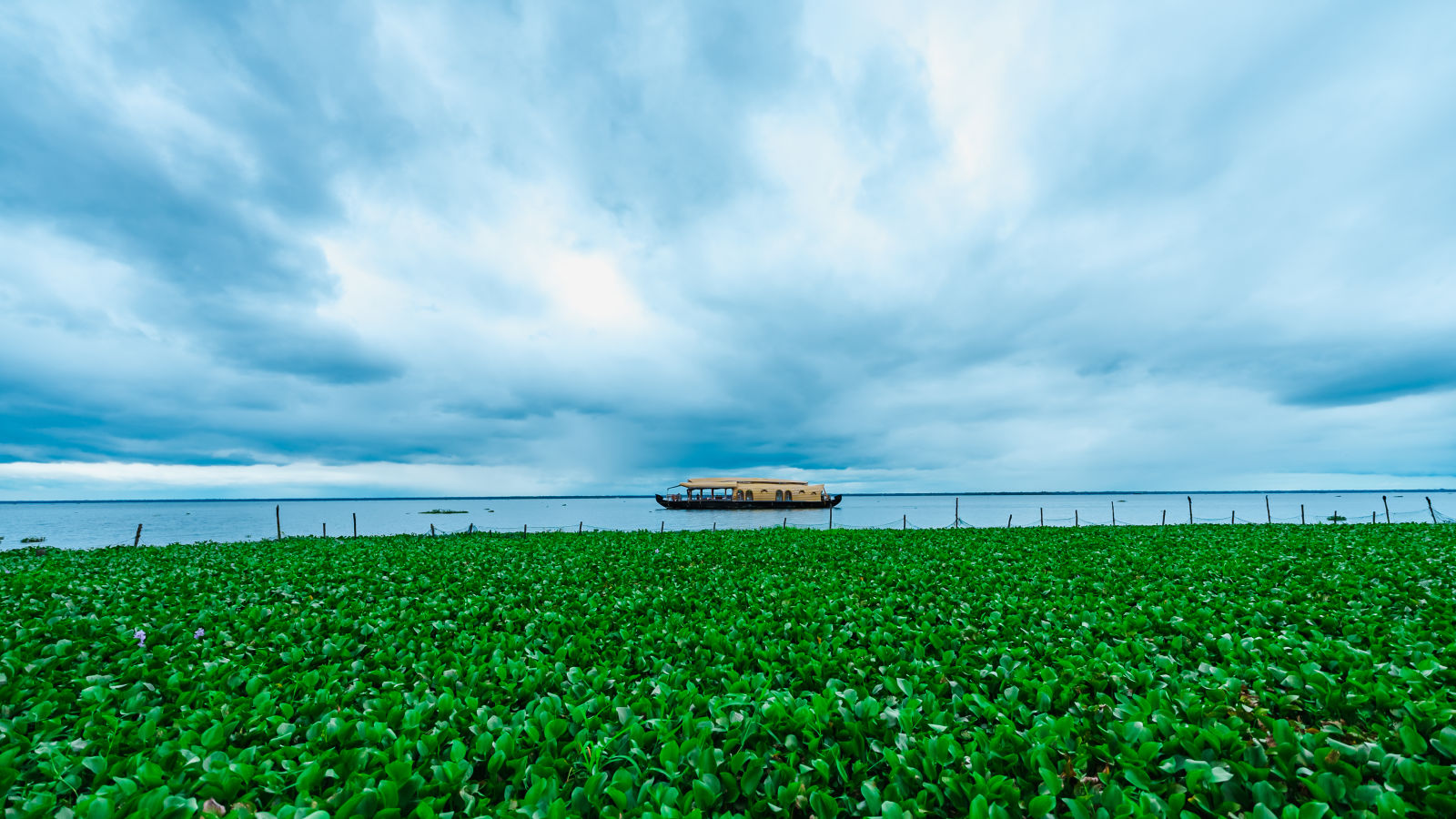 Rhythm Kumarakom - House boat on a river with greenery in front