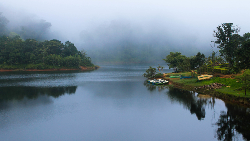 Gavi  Kerala