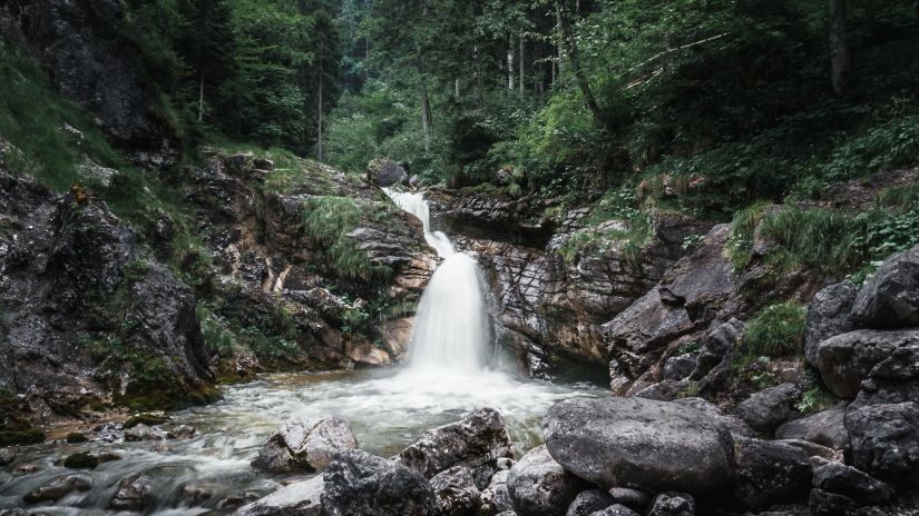 Water flowing inbetween rocks to a small pool with trees above