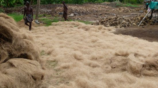 Coir factory