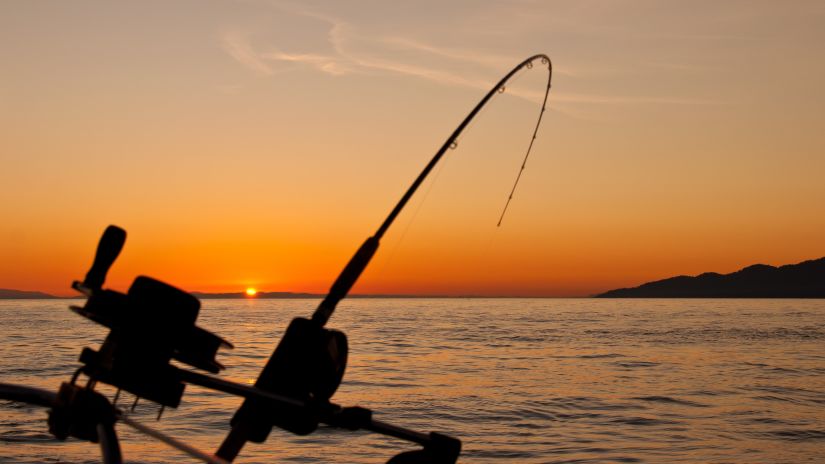 a fixed fishing rod near a lake with an island on the right side and the sun setting in the background