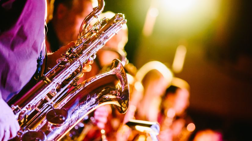 a group of people playing a musical instrument at a concert