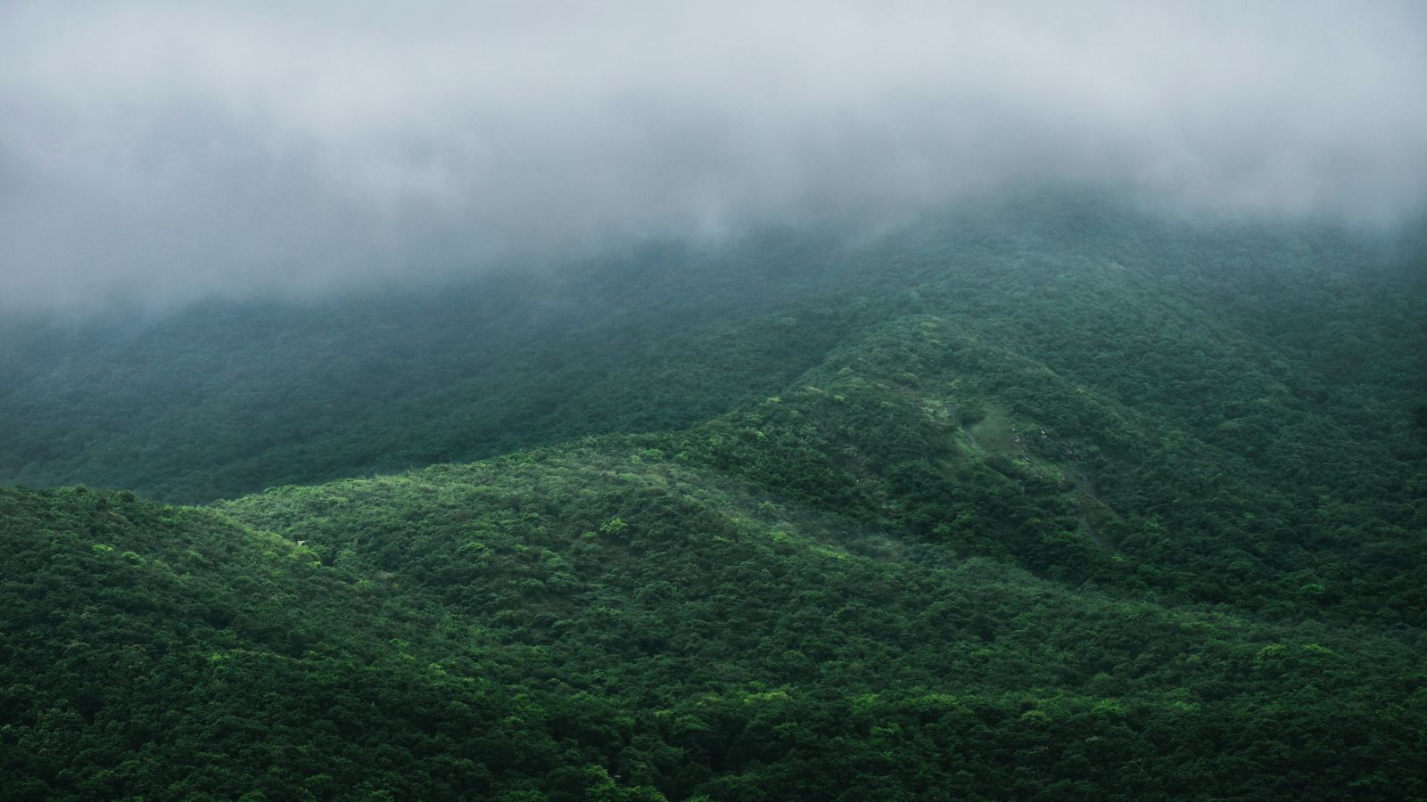 Mist-filled hills