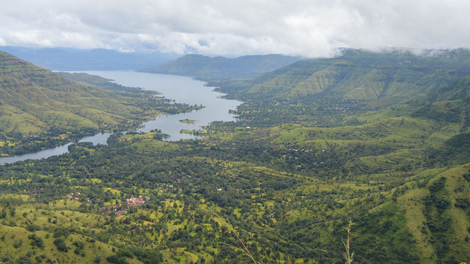 a panoramic view of lush greenery and hills